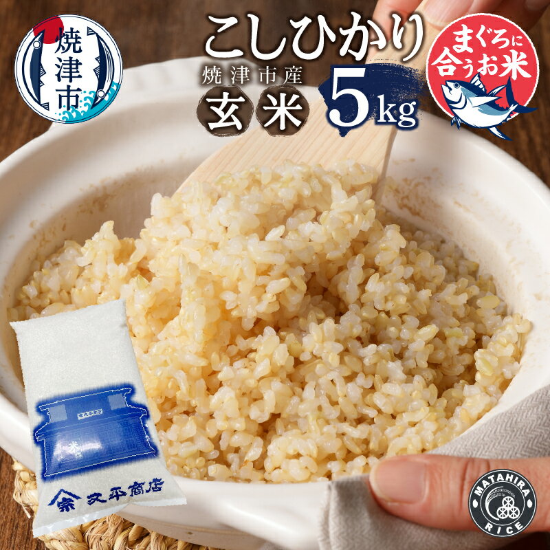 【ふるさと納税】 米 玄米 コシヒカリ 5kg 老舗米屋 マグロに合う ごはん 焼津 a16-168