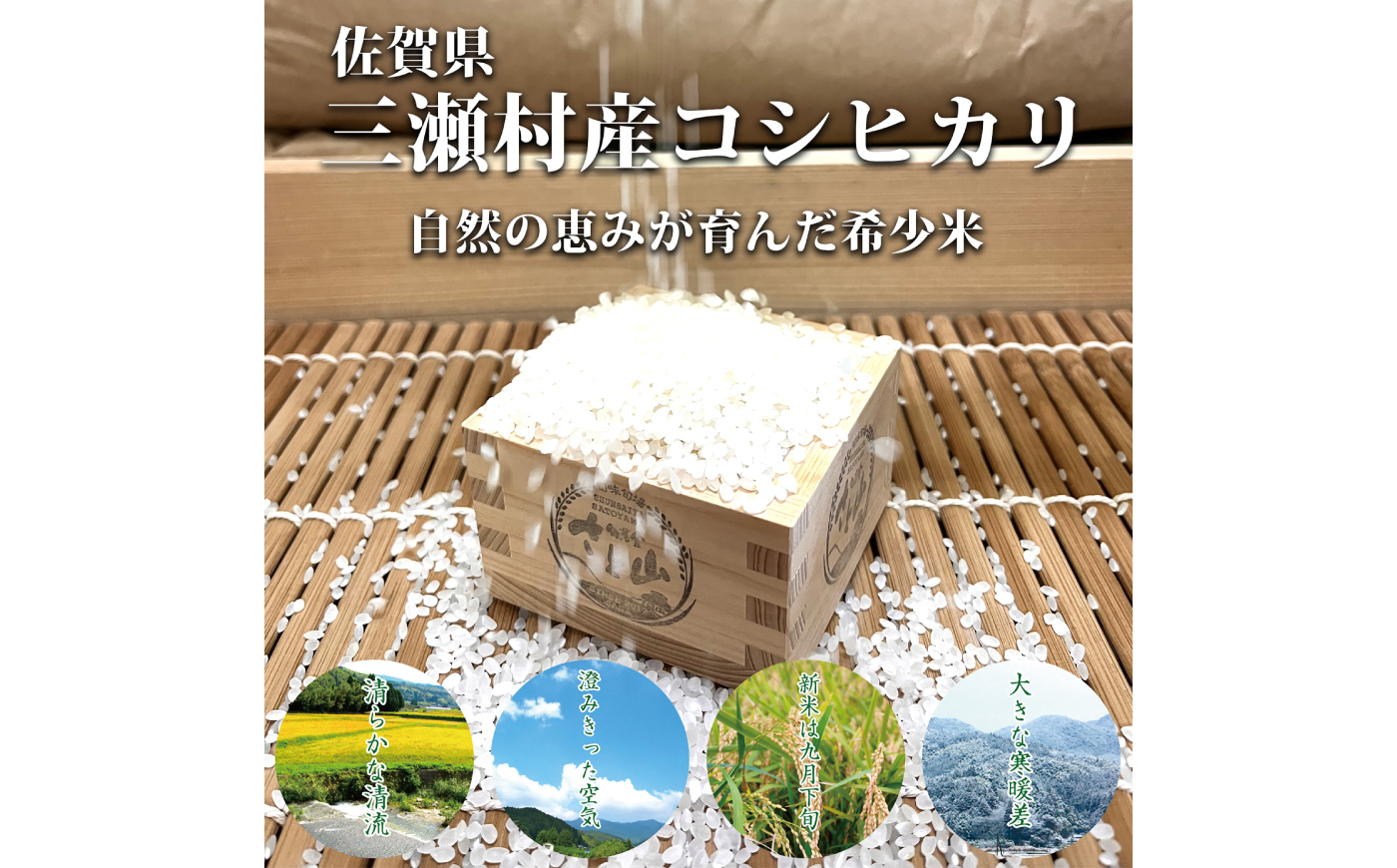 カレー 6人前セット（アムールレトルトカリー6箱・コシヒカリ3合×2P） / カレーライス 米 / 佐賀県 / 旬菜舎さと山 [41AABM058]