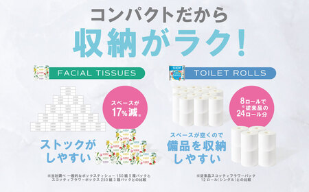 【スコッティ】ティシュー フラワーボックス 250組（5箱パック×2セット）＋フラワーパック 3倍長持ち（4ロール(シングル)パック×6セット）ティッシュ トイレットペーパー 日用品