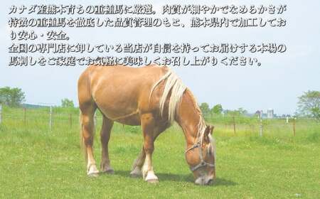 熊本 馬刺し ユッケ 約200g （約50g×4個） 馬肉 お肉 肉 肉刺し 生肉 生食 国内肥育 食品 ヘルシー 熊本県 熊本市 冷凍