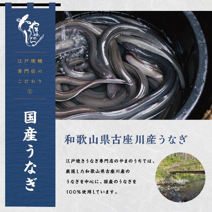 〈うなぎ専門店やまのうち〉江戸焼き うなぎ 蒲焼き　2尾 和歌山県 うなぎ国産 冷凍 蒲焼 かば焼き うな重 ひつまぶし タレ 山椒 土用の丑の日 ウナギ 白浜町 ふるさと納税 鰻 国産