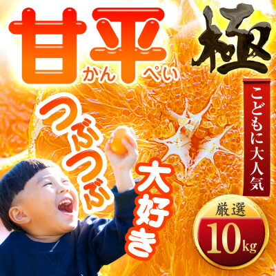 【ふるさと納税】【甘みぎっっしり!】シャキシャキ甘い♪♪【甘平】10kg【H49-65】【1509768】