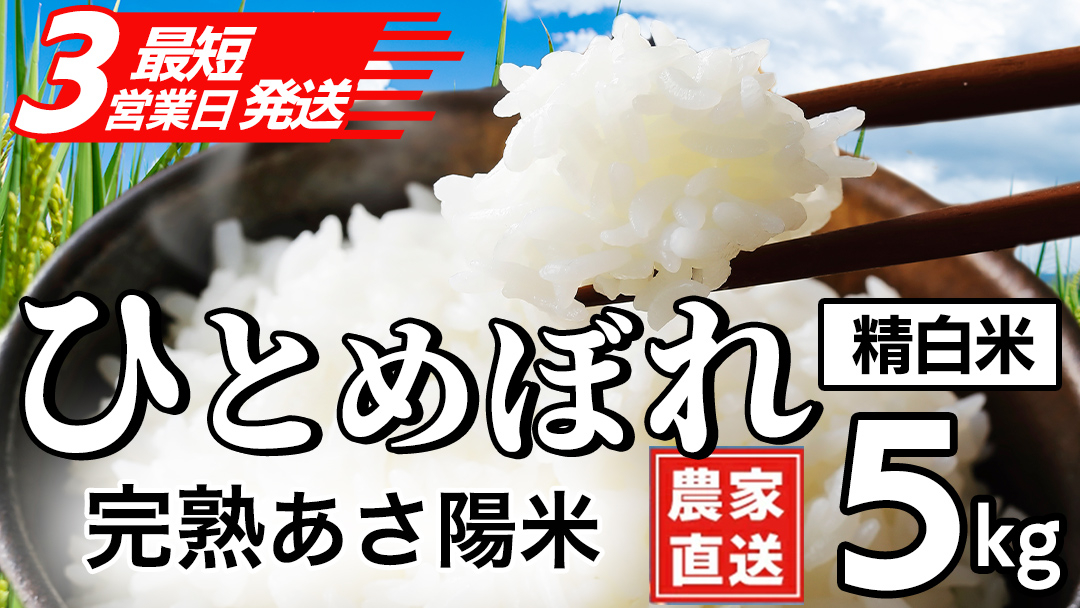 【最短3営業日発送】【生産者応援】完熟あさ陽米 (精白米) 5kg ひとめぼれ 特別栽培米 令和7年産 生産農家直送  産地直送 こめ 精米 白米 ご飯 あさ陽米 岩手県 特別栽培 農家直送 事業者応
