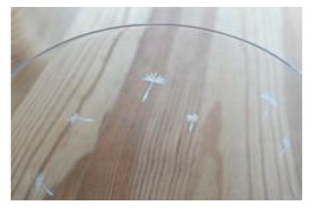 浅草切子 たんぽぽ