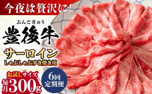 【全6回定期便】【厳選部位】おおいた豊後牛 サーロイン しゃぶしゃぶすき焼き用 300g 日田市 / 株式会社MEAT PLUS おおいた豊後牛 おおいた 豊後牛 黒毛和牛 スライス しゃぶしゃぶすき焼き しゃぶしゃぶ すき焼き 小分け サーロイン和牛 [AREI081]