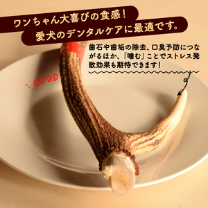 シカツノ Lサイズ 鹿の角(犬 歯磨き ペット用品 おもちゃ