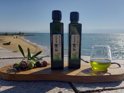 オリーブオイル 「 不知火海の恵み 」137g×2本 不知火産オリーブオイル 宇城市産オリーブオイル 国産オリーブオイル 食用オリーブオイル