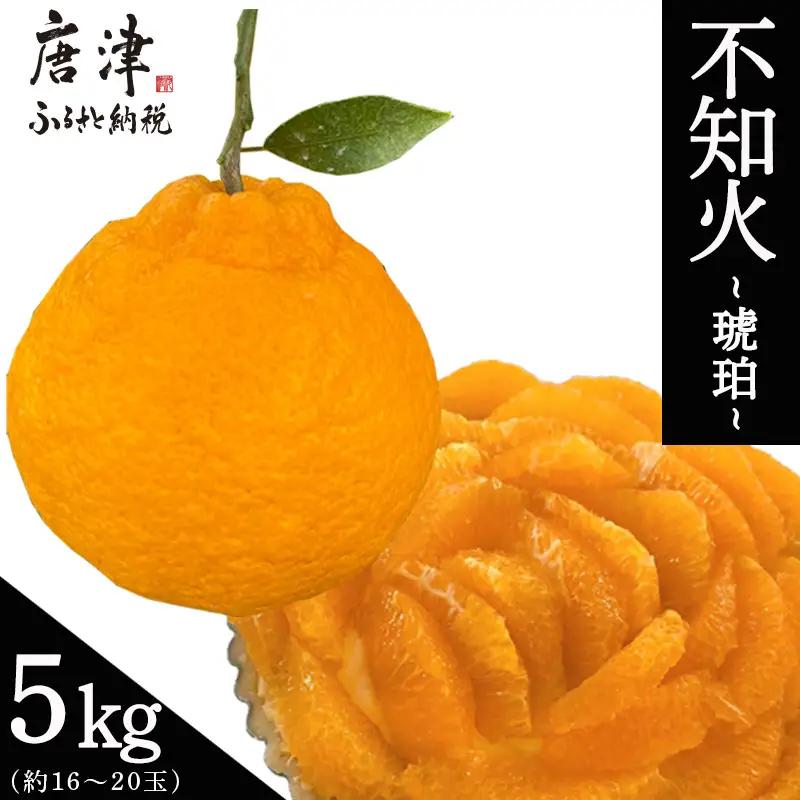 『先行予約』【令和9年2月中旬より順次発送】唐津産 不知火(琥珀) 約5kg(約16～20玉)
