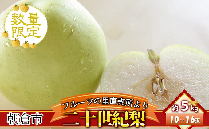 フルーツの里の直売所より 二十世紀梨 5kg ナシ 果物 先行予約 