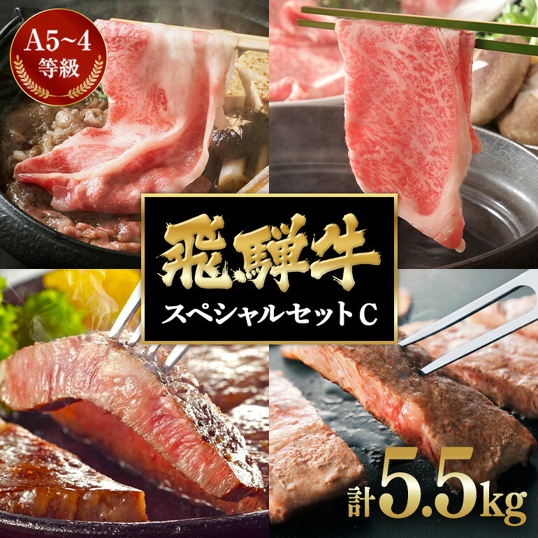 【ふるさと納税】 飛騨牛 A5〜4等級 スペシャルセットC (F-3/A-23)