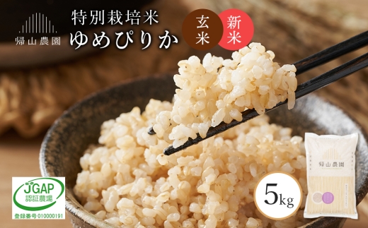 【新米予約】  玄米 ゆめぴりか5kg 特別栽培米産地直送《帰山農園》