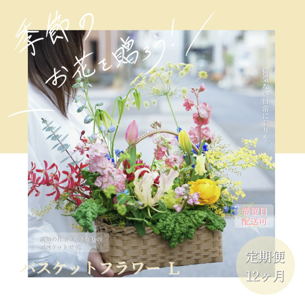 【ふるさと納税】《12ヵ月定期便》季節の生花バスケットフラワーL バスケット 紙バンドバスケット フラワーバスケット 季節 手作り ハンドメイド ブルースター トルコギキョウ お取り寄せ 生花 プレゼント 贈り物 冷蔵 配送 芸西村 高知県 ふるさとのうぜい 故郷納税 返礼品