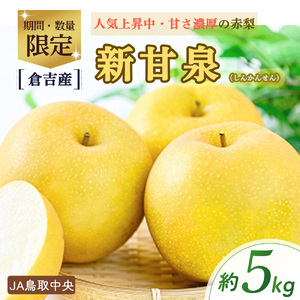 新甘泉 【倉吉産】5kg（ＪＡ鳥取中央） 梨 果物 和梨