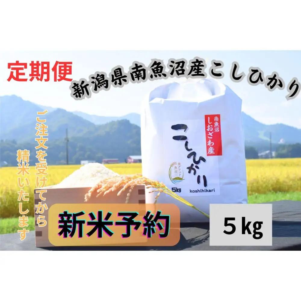 【令和8年・新米予約・定期便】新潟県南魚沼市の豊かな自然が育んだ、極上のコシヒカリ　5kg×12か月【2026年9月下旬より1ヶ月以内に順次発送予定】｜コシヒカリ