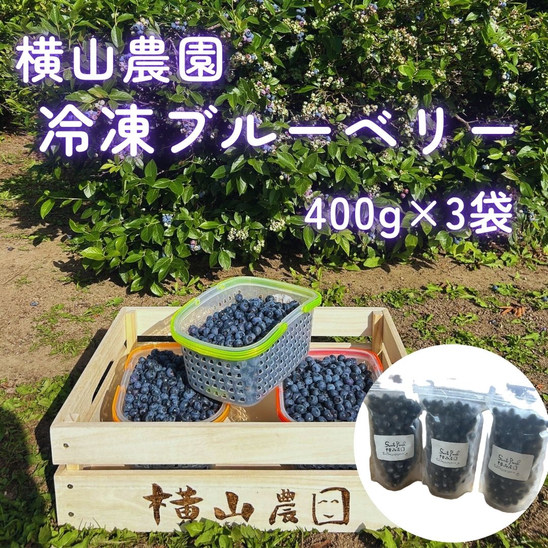 【ふるさと納税】横山農園の冷凍ブルーベリー400g×3袋