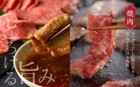 飛騨牛 焼肉 厳選2種盛（赤身・カルビ） 600g 焼肉 飛騨高山ミート [MZ008]