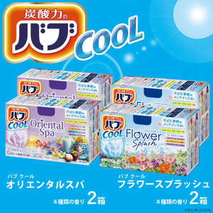 SA3001　花王バブ クール 4種詰め合わせ　計6箱