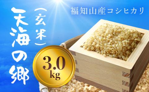 【令和6年産新米】福知山産コシヒカリ『天海の郷』天空に広がる天海の郷　3kg（玄米） FCCM012