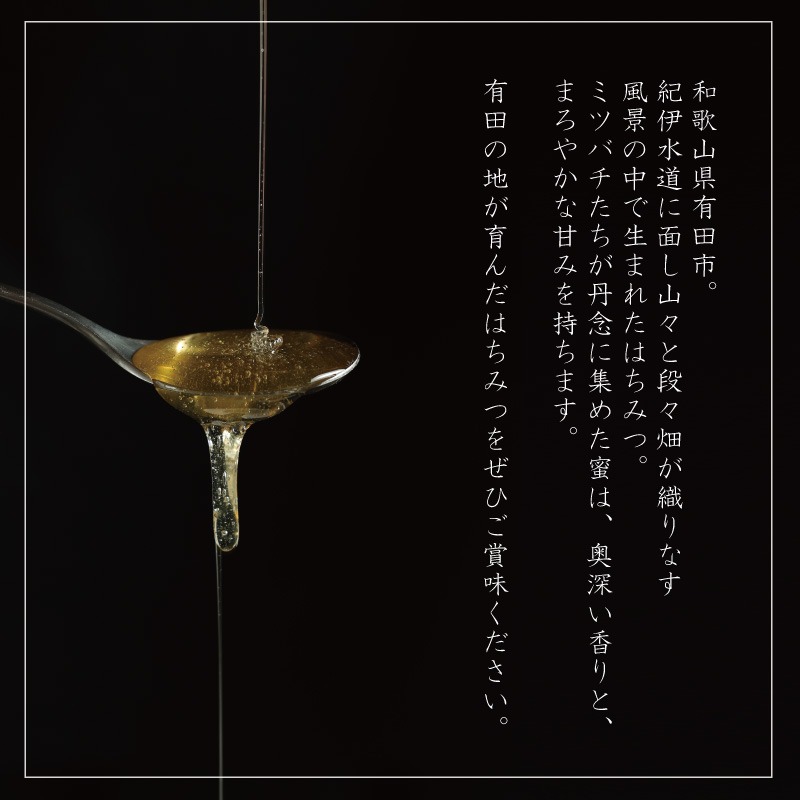 1015.山花のはちみつチューブボトル300ｇ 2個（A1015-1）