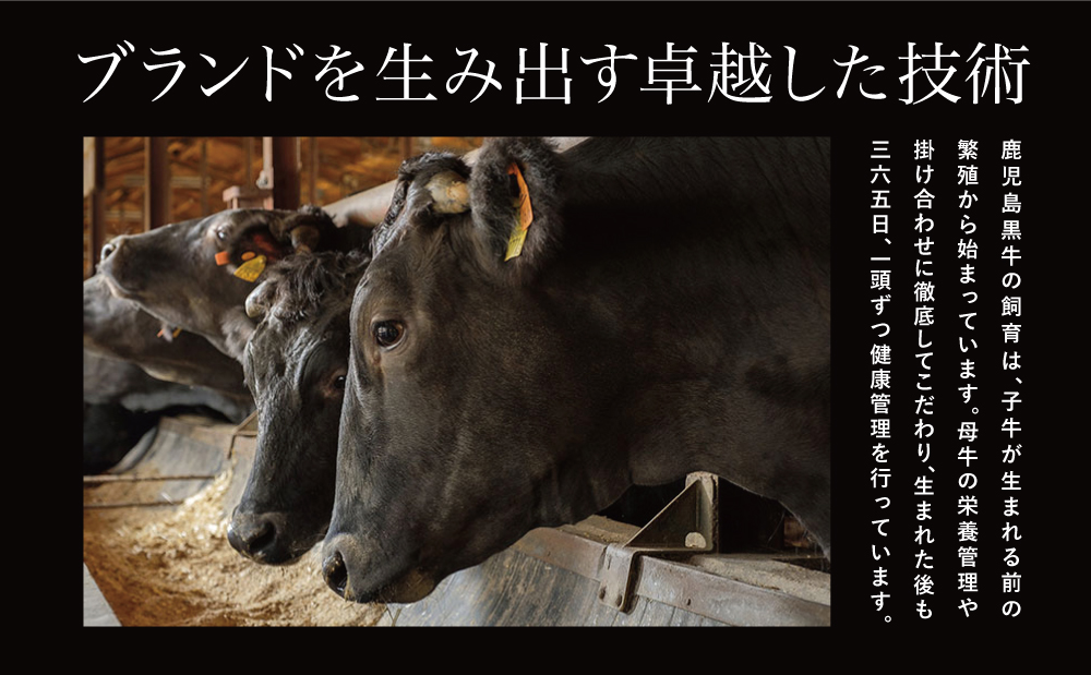 ★特別企画★ 5等級 鹿児島黒牛 カタローススライス 計600g (300g×2P) ＼期間・数量限定／ 黒毛和牛 内閣総理大臣賞 GI登録 ブランド牛 肩ロース 霜降り しゃぶしゃぶ すき焼き すき