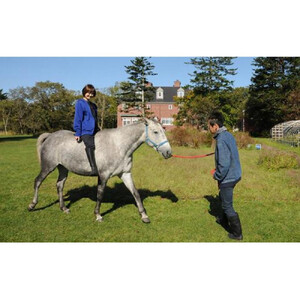 「ヘイゼルグラウスマナー」アドベンチャーコース90分乗馬体験チケット（1名様分）| 乗馬