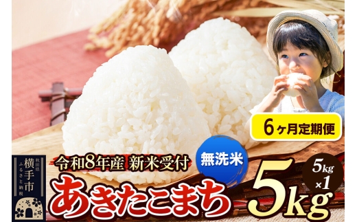 《令和8年産 新米受付》定期便6ヶ月》 米 あきたこまち 5kg 【無洗米】 秋田県産 [新米 先行予約 先行受付 米 コメ 無洗米 あきたこまち おいしい 美味しい]