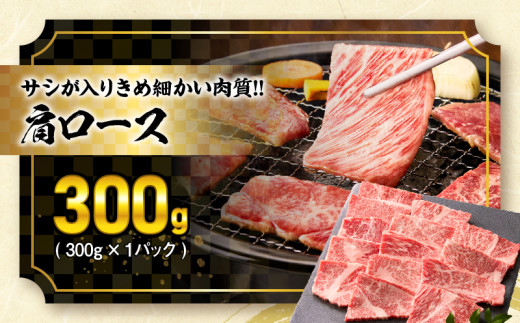 【令和8年2月配送】宮崎牛 赤身 霜降り 焼肉 3種 食べ比べ セット 合計900g 数量限定 肉 牛肉 黒毛和牛 国産 A4 A5 おすすめ 肩ロース モモ ウデ 食品 おかず 晩ご飯 お弁当 BB