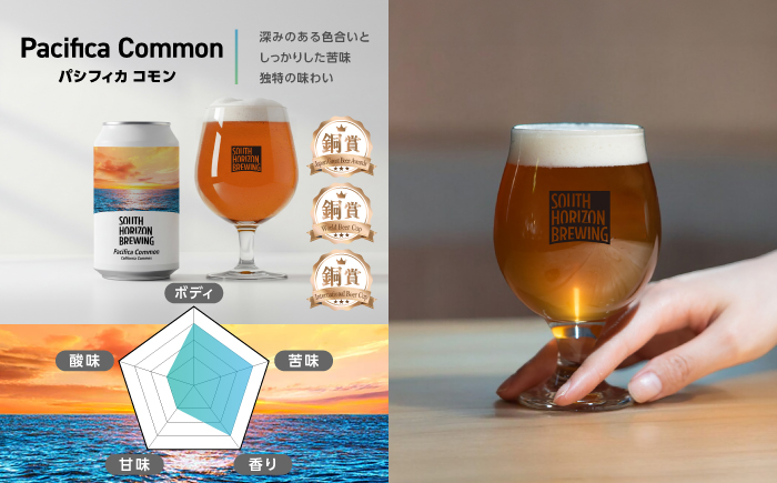 常温クラフトビール (350ml) 3種飲み比べパック (各2本) / ビール クラフトビール 麦酒 酒 飲み比べ セット 缶 ギフト 贈答用 プレゼント 【SOUTH HORIZON BREWING