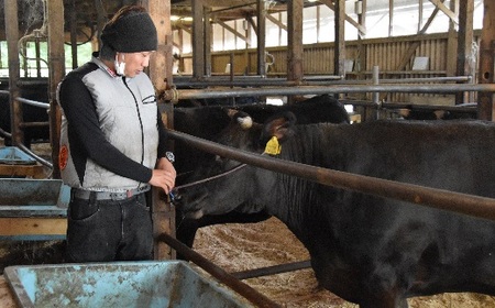 松阪牛焼肉赤身モモ 400g 牛肉 焼肉