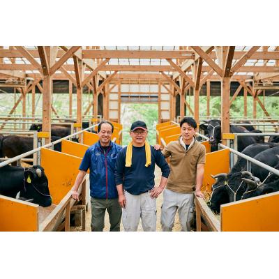 ふるさと納税 宍粟市 ミズノプロ 硬式用 宍粟牛グラブ 外野手用 イチローモデル(右投げ用)AO63 |  | 03