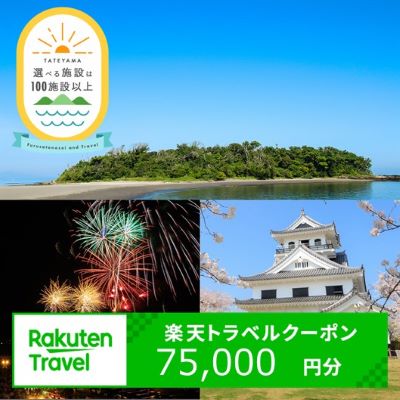 【ふるさと納税】千葉県館山市の対象施設で使える楽天トラベルクーポン　寄付額250,000円　旅行券 ギフト トラベル 旅行 チケット トラベルチケット 金券 プレゼント 贈り物 国内旅行 ホテル 旅館 宿泊 宿泊券 千葉県 館山 南房総 海 レジャー 満喫 リラックス 記念 お祝い