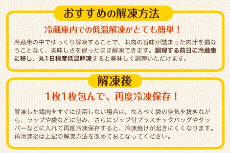 熊本県産 若鶏むね肉 約2kg×2袋 たっぷり大満足！計4kg！《1月下旬-3月下旬出荷》鶏肉 とりにく チキン 冷凍