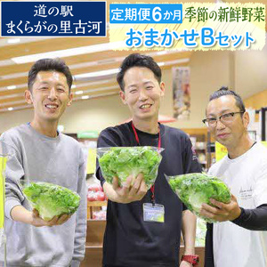 【定期便6か月】道の駅まくらがの里古河　季節の新鮮野菜おまかせBセット ※北海道・沖縄・離島への配送不可 | 野菜 詰合せ 詰め合わせ セット アソート 新鮮 道の駅 人気 ギフト 贈答 贈り物 プレ