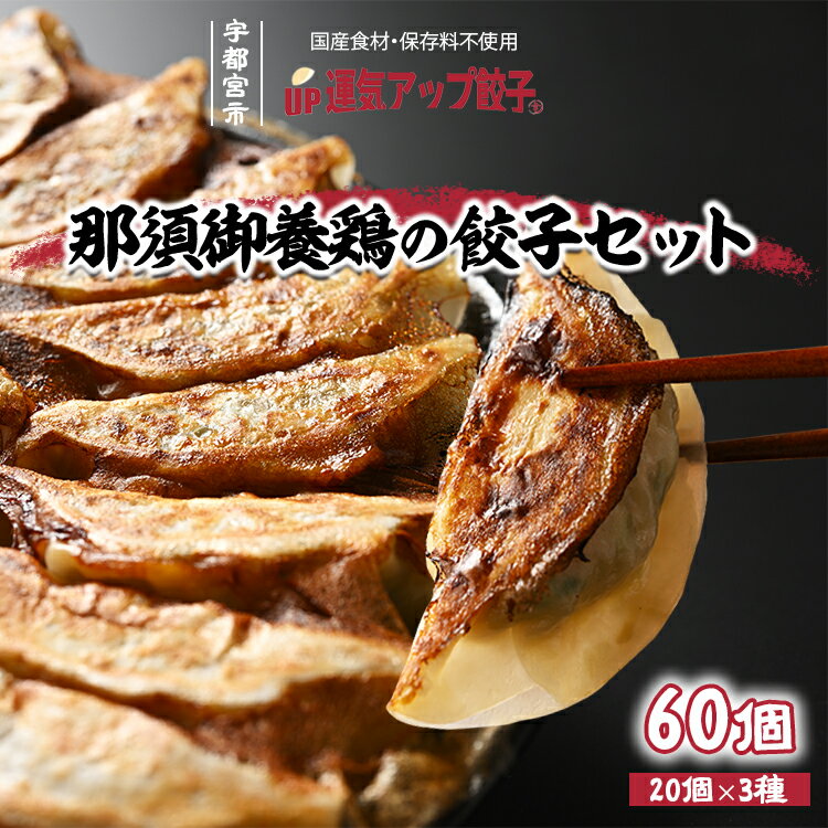 【ふるさと納税】宇都宮餃子 運気アップ餃子 鶏餃子 3種類味比べ(合計60個)【 餃子 食べ比べセット 冷凍餃子 冷凍食品 惣菜 栃木県 宇都宮市 】※配送不可地域：離島