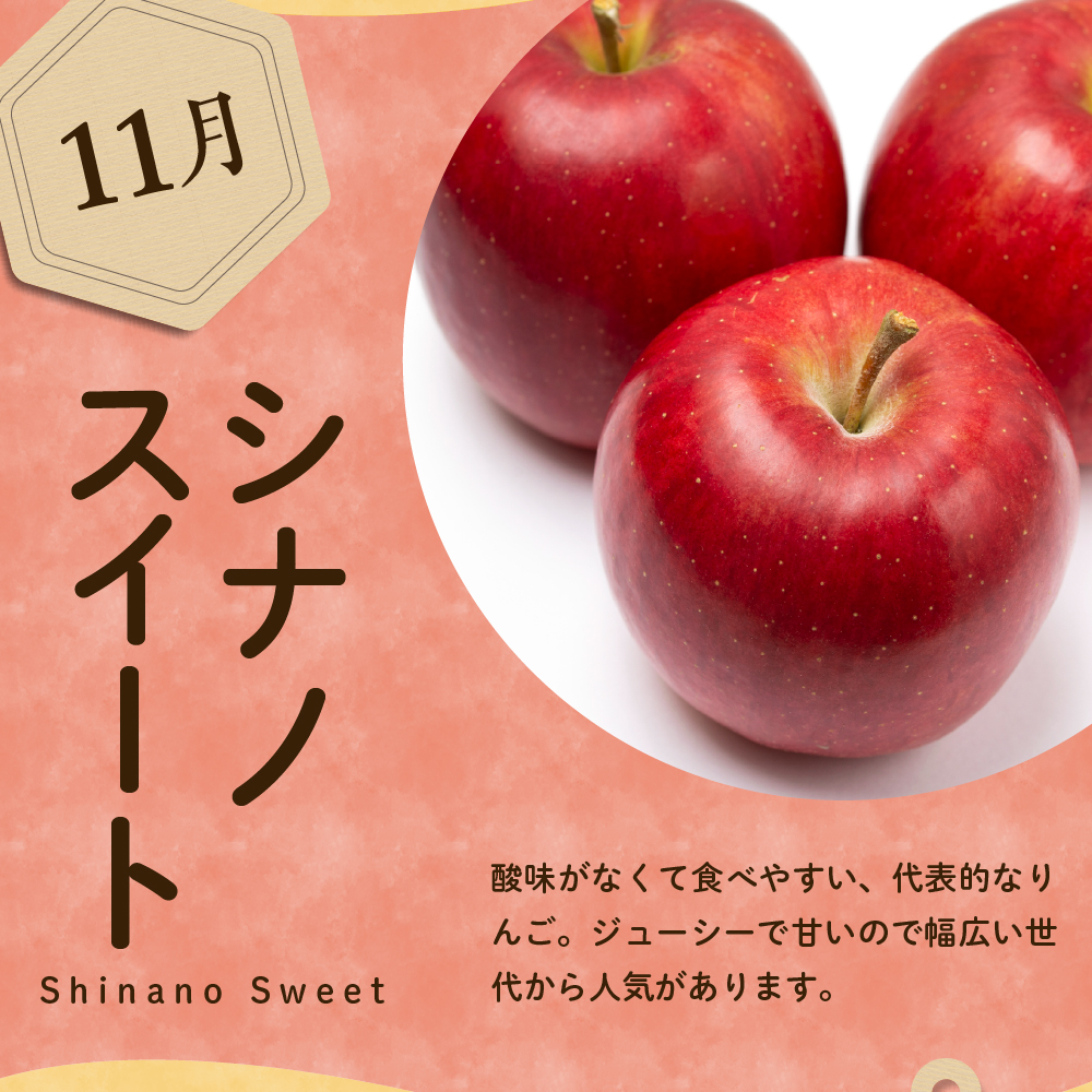 【先行予約】 定期便 令和8年産 りんごの定期便 全4回 4種 × 約2kg 計 約8kg 秋陽 秋映 シナノスイート サンふじ フルーツアドバイザー 厳選 2026年9月下旬頃～ 発送開始予定 山形
