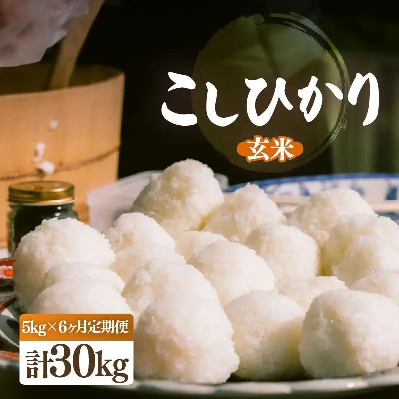【先行予約】【令和8年産・新米】定期便 ≪6ヶ月連続お届け≫ こしひかり 5kg × 6回（計30kg）【2026年10月中旬以降順次発送】 [e26-h002_02]