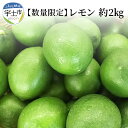 【ふるさと納税】進栄　農薬を使わず栽培!! レモン約2kg【熊本県宇土市】