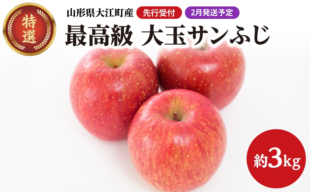 
            《先行受付》【2026年2月発送予定】 最高級 特選大玉サンふじ約3kg　【大江町産・山形りんご・大地農産】【028-031】
          