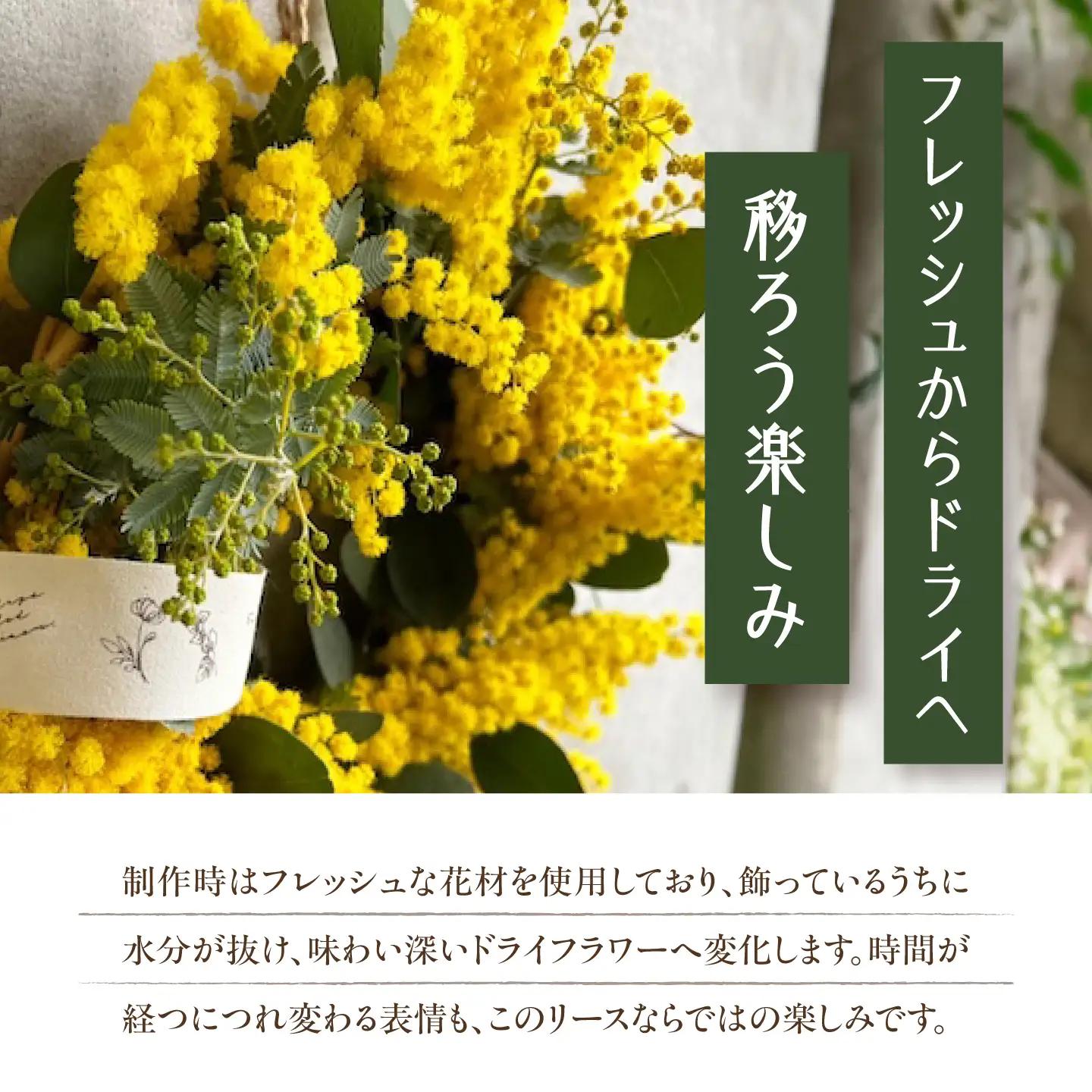 雑貨 ミモザとユーカリのリース BLAW002