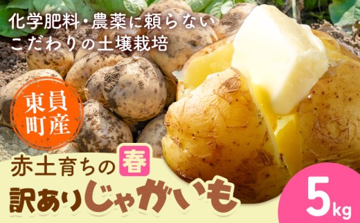【春じゃがいも】東員町産 赤土 育ち の 訳あり じゃがいも 約5kg《5月下旬-7月下旬頃出荷(土日祝除く)》三重県 東員町 ジャガイモ じゃが芋 芋 送料無料