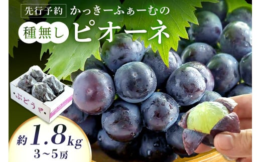 【先行予約】種無しピオーネ 約1.8kg 3～5房《8月下旬頃から発送》 果物 ピオーネ ぶどう 先行予約 【183_1884】