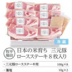 日本の米育ち平田牧場三元豚ロースステーキ　100g×8パック