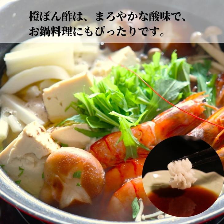 橙 ぽん酢 2本 橙 オレンジ 柑橘 調味料 肉 魚 料理 刺し身 麺 うどん そうめん サラダ 鍋 しゃぶしゃぶ 餃子 鍋 大豆 国産 贈答 ギフト プレゼント お歳暮 徳島 小松島
