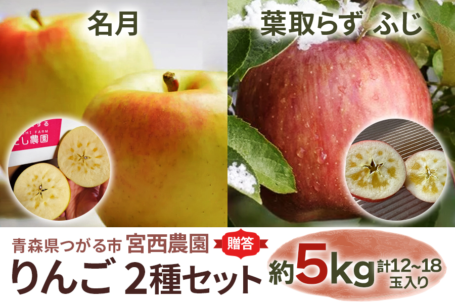 [贈答] 名月×葉取らずふじ【約5kg 計12から18玉入り】贅沢りんご 2種セット｜令和8年 2026年 ギフト 青森産 津軽 つがる りんご リンゴ 果物 フルーツ 名月 めいげつ ふじ フジ 青