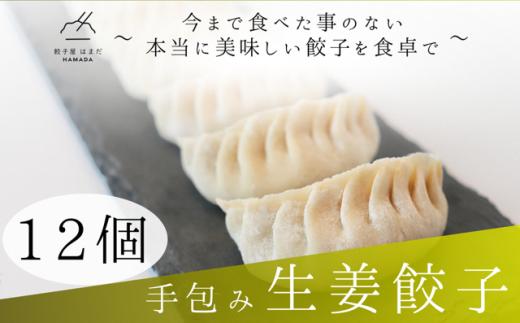手包み生姜餃子Sパック　12個入り