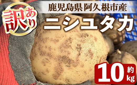 
                  ＜先行予約受付中！2026年6月以降順次発送予定＞訳あり！じゃがいも ニシユタカ(10kg) 国産 鹿児島県産 阿久根市産 じゃがいも ジャガイモ 芋 ポテト にしゆたか 訳アリ 野菜 ポテトサラダ コロッケ 常温 常温配送 【慶越農園】akn107-07
                