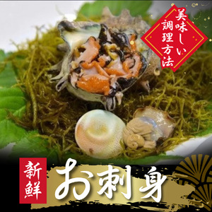 ジャンボ伊勢海老・ジャンボざざえセット[A]　【 伊勢海老 さざえ 】