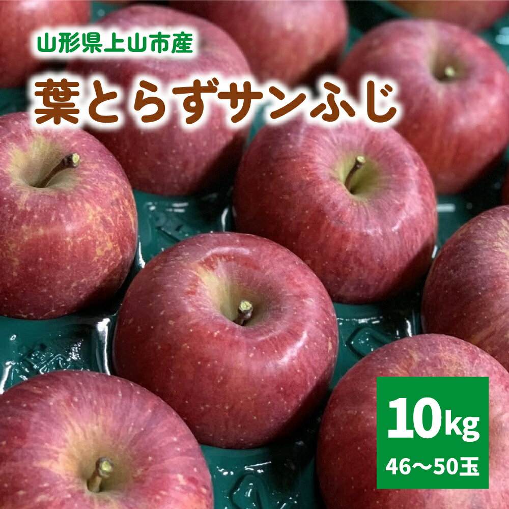 【ふるさと納税】有機肥料栽培 葉とらず サンふじ 上山市産 10kg 46～50玉 りんご 果物 フルーツ 産地直送 山形 お取り寄せ 送料無料 山形県 上山市 0079-2627