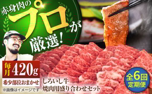 【牧場直送】【6回定期便】佐賀県産しろいし牛 焼肉用 盛り合わせ セット（希少部位）各回420g 【佐賀セントラル牧場】佐賀県産 肉 お肉 牛肉 焼き肉 BBQ バーベキュー モモ カタ 肩 バラ 国産 焼肉 九州 佐賀県 白石町 [IAH024]