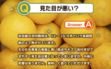 【訳あり】 みかん職人の河内晩柑 大玉 10kg  約15～20個入り (なくなり次第終了) 河内晩柑 果物 柑橘 みかん 愛南ゴールド 蜜柑 グレープフルーツ ゼリー ジュース アイス 果物 フルー